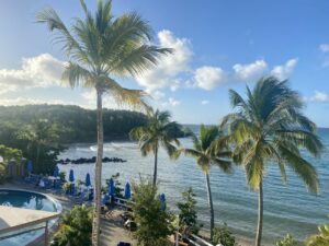 Logo of Virtuoso Family Travel with a family symbol.