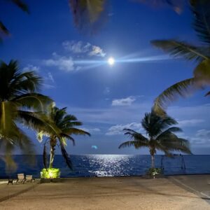 Logo of Virtuoso Family Travel with a family symbol.